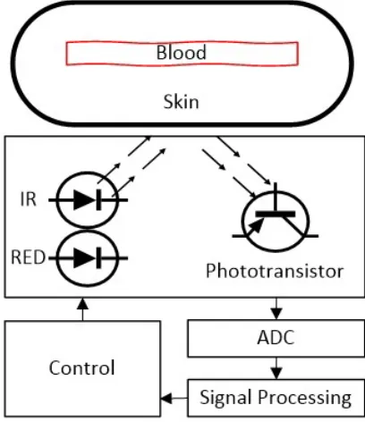 Figure 3.7: PPG Block Diagram