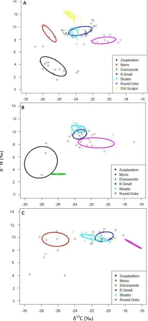 Figure 2.6:  Carbon and nitrogen isotopic niche and standard ellipse areas for (A) Main Basin, (B) Georgian Bay, and (C) North Channel