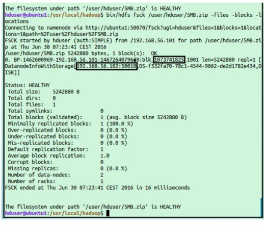 Figure 5.2: DFS Command fsck
