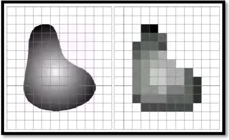 Figure 2.1:  Early stage and improved digital image. 