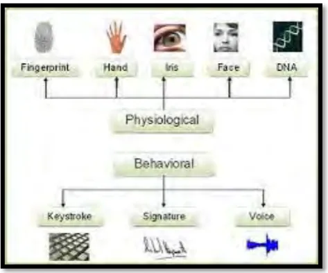 Figure 2.3: Modalities of Biometric. Source: Carlson (2014). 