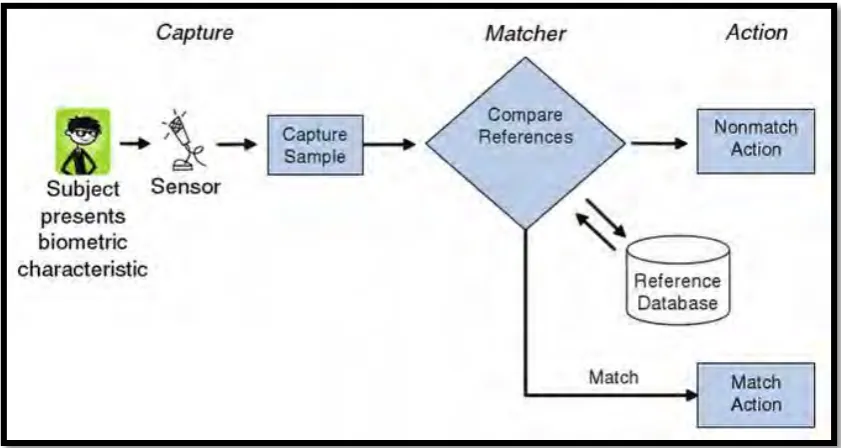 Figure 2.4: Basic operation of Biometric. Source: Pato and Millett (2010). 