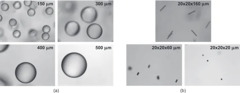 Fig. 3. Diagram of the steps followed by the image analysis framework.