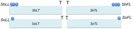 Fig. 3.Topic boundary neighborhoods with shared and solo last laughs(ShLL and SoLL) and shared and solo ﬁrst laughs (ShFL and SoFL)