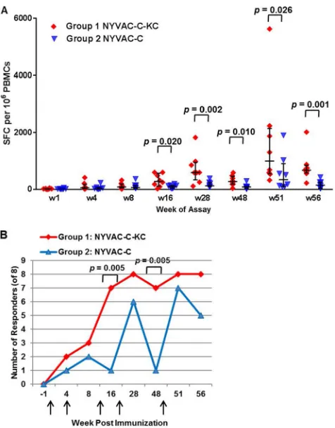 FIG 2 The replication-competent NYVAC-C-KC induces a greater T cell response does replication-shown
