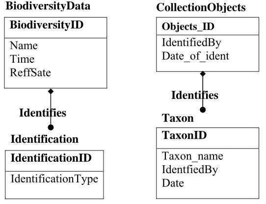 Figure 5: “Identifies” Relationship