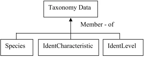 Figure 7: Association 