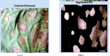 Fig 2: (a) infected leaf    (b) separate the infected part using k means clustering     