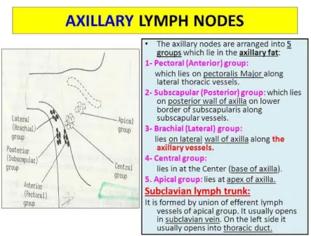 FIG.5 AXILLARY LYMPH NODES: 