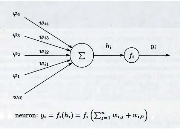 Figure 2.8: Description of neuron 