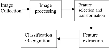 Fig. 1 Image data mining process 