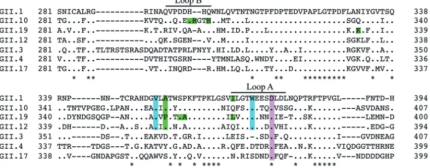 FIG 7 Conservation of the GII bile acid binding pocket. Amino acid sequence alignments of GII capsids were performed using ClustalX(Genetyx software)