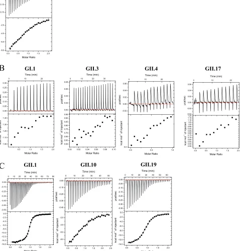 FIG 1 Thermodynamic properties of GCDCA binding to norovirus VLPs and P domains. (A) Titrations were performed at 25°C by injecting consecutivecharacterized by the exothermic type of reaction