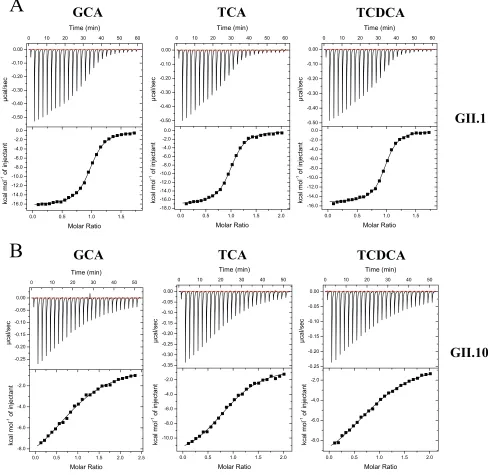 FIG 2 Thermodynamic properties of GCA, TCA, and TCDCA binding to norovirus P domains. Titrations were performed at 25°C by injecting consecutive aliquotsbound various types of bile acid with similar afﬁnities