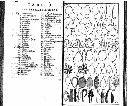 Figure 5 A spatialization of the very objects of analyses in Linné’s classification system (Linné and Quesné, 1788, p