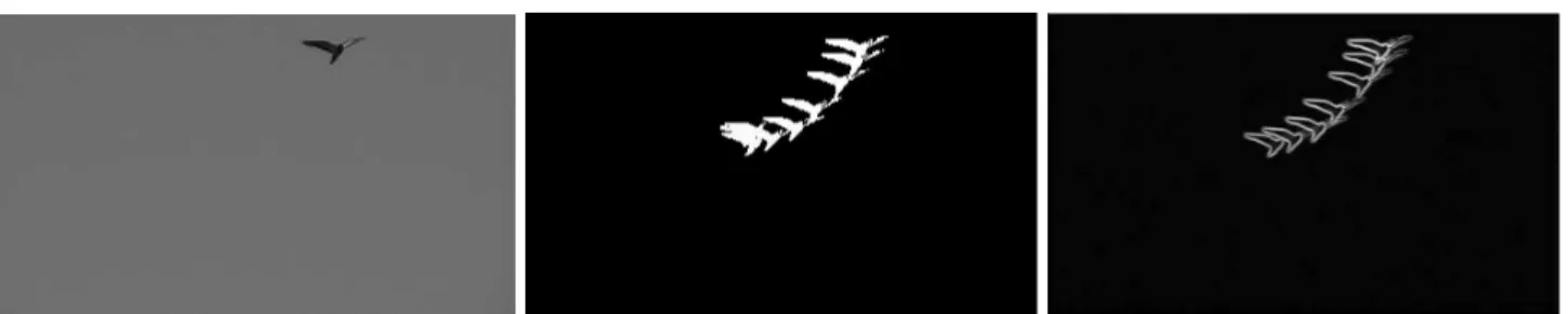 Fig. 2 In this video sample, a bird flys in the sky (left). The features MHI (middle) and MMHI (right) both have retained the motion information of the bird.