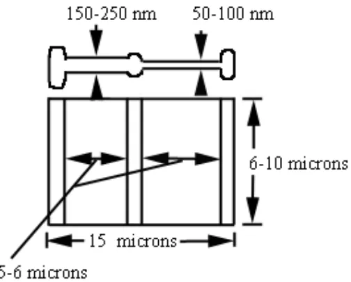 Figure 7: STEM Sample Dimensions 