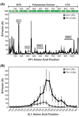 FIG 9 Molecular dynamics simulation of VP1 protein structures. Molecular dynamics simulations weretrajectories initiated with different random seeds were run for each protein structure