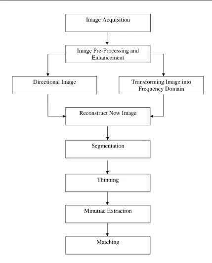 Figure 1.2 Directional Image Transforming Image into Proposed frameworks in fingerprint identification system
