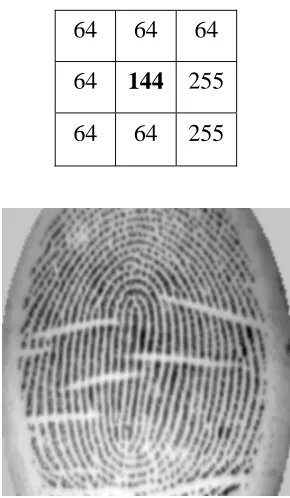 Figure 3.8 Pixel values and the new fingerprint image after Low-Pass filtering 