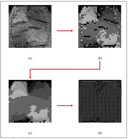 Figure 3.19 Directional image generation summarized graphically 