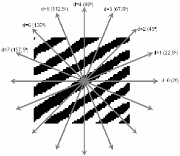Figure 3.20 Direction computations in 8 directions