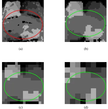 Figure 3.25 The directional element of fingerprint image: (a) before block filtering 