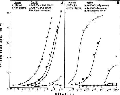 FIG. 5.or pre-s2 Induction of antibody to pre-s epitopes. RIAs were performed in microtiter wells coated with peptides from the pre-sl (panel A) (panel B) regions, as described in the text.
