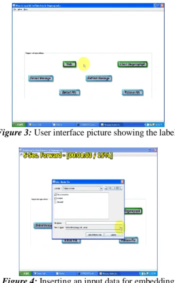 Figure 4:  Inserting an input data for embedding 