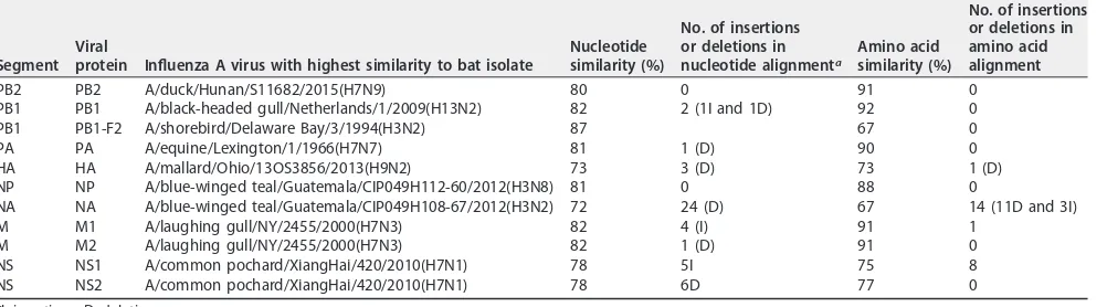 TABLE 1 Highest nucleotide and amino acid similarity of the newly characterized bat inﬂuenza virus to different inﬂuenza A subtypes