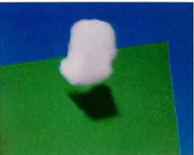 Figure 2.4: Cloud rendered by ray tracing (Kajiya and Herzen, 1984) 