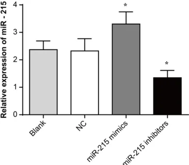 Figure 1. Up-regulation of miR-215 expression in reti-noblastoma cells. *P < 0.01 when compared to the expression of miR-215 in ACBRI-181 cells.