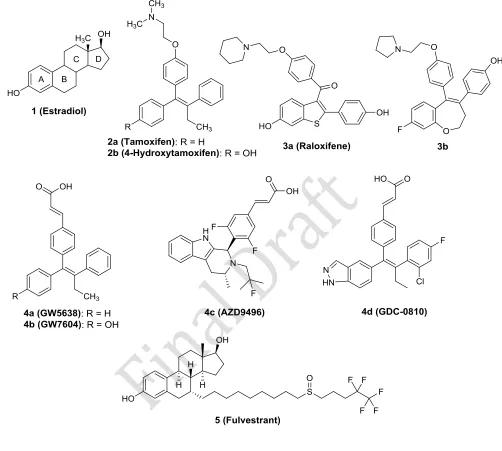 Figure 1.   Structures of β-estradiol and selected ER modulators and ER downregulators 