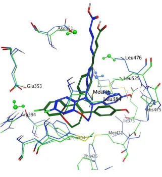 Figure 6.   Top ranked poses of 13e in ERα and ERβa 
