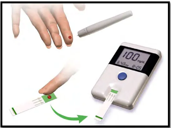 Figure 2.2: Glucose Meter 