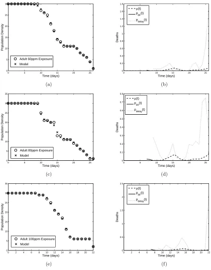 Figure 5: Model ﬁt to adult (a) 60 ppm, (c) 80 ppm, and (e) 100 ppm neem exposure data and correspondinglinear spline approximations (b), (d), and (f) to pAdir(t) and pAdelay(t) with previously estimated µA(t).