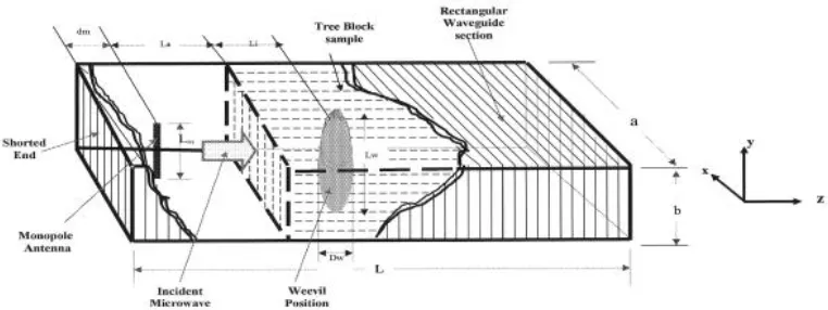Fig. 1. Pictorial diagram of the waveguide section partially filled with a block of a tree trunk containing a red palm weevil sample at distance l from the leading edge of the tree block.