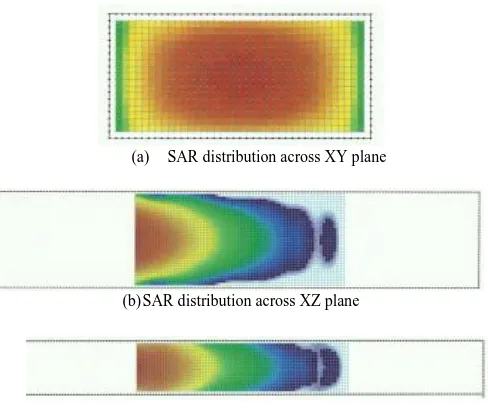 Fig.3a,b,c show respectively gray-scaled snap shots of SAR values on different planes xy, xz and yz cut through the center of the tree block sample after irradiation for 30 minutes