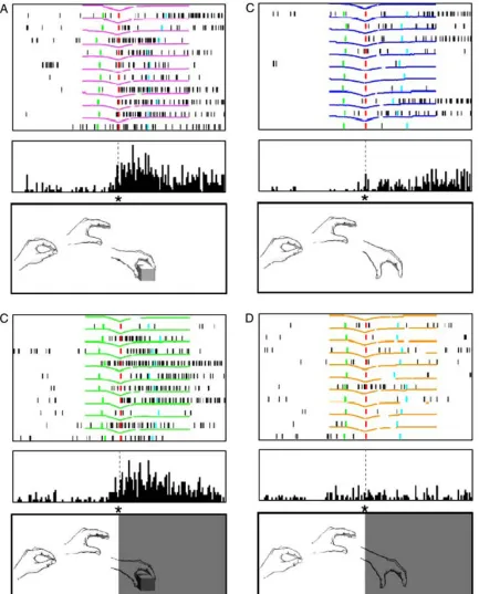 Figure 3.1 Examples of grasp task and F5 neuron firings in monkeys (image from 