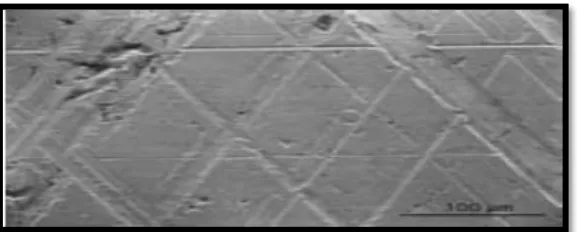 Figure 2.3: A ball bearing steel surface treated with laser texturing. 