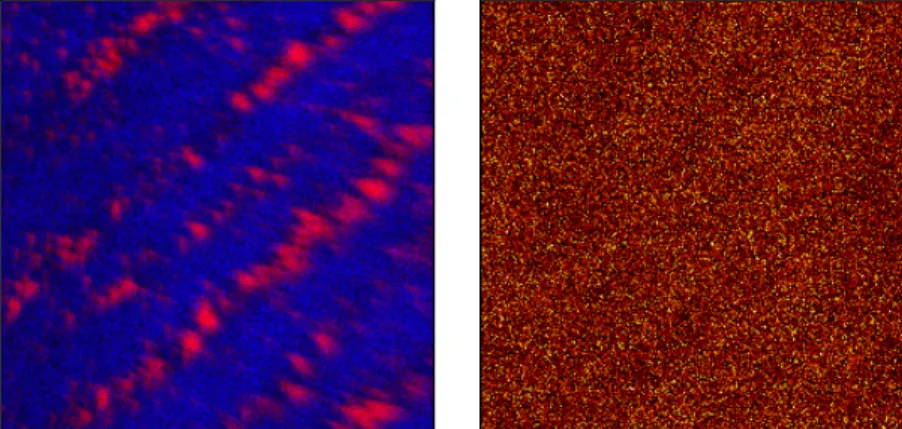 Figure 7. The left image represents a contrast image of the PEDOT phase marker (red) and the  PSS markers (blue)