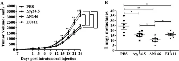 FIG 7 (A) ΔN146 reduces local tumor growth. 4T1 cells were implanted subcutaneously into mice (daysigniﬁcance by nonparametric analysis