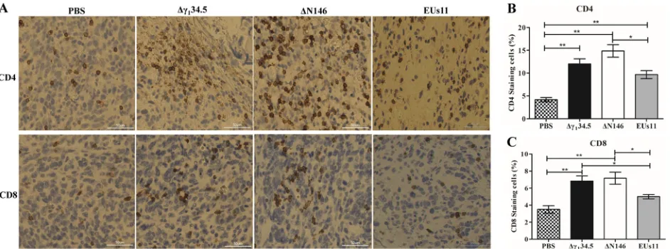 FIG 10 (A) Inﬁltration of CD4were processed and stained with antibodies against CD4� and CD8� cells into 4T1 tumors