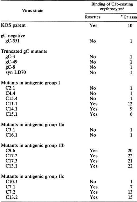 TABLE 2. Detection of C3b receptors on cells infected withHSV-1 strain KOS and KOS mutants