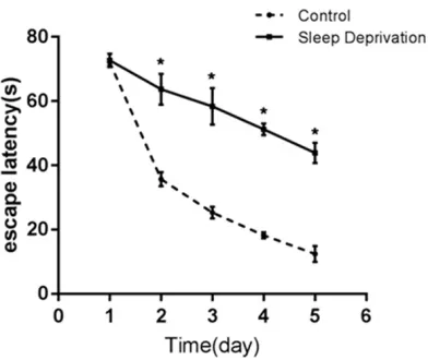 Figure 1. Comparison of escape latency between two groups of rats. *P<0.05.