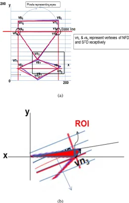Fig. 4. (a) NFD based on location of the eyes pair , (b) Source Facial Diagram (SFD) connecting eight landmarks