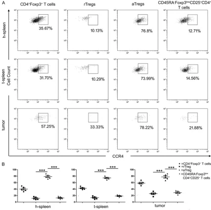 Figure 3. Percentage of CCR4 expression on each Treg subset. A. Flow dot plots of CCR4 expressed on each Treg subset are demonstrated