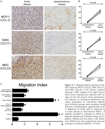 Figure 4. A. Representative staining of HN-SCC cases for MCP-1 (CCL2), TARC (CCL17), and MDC (CCL22) (n=5)