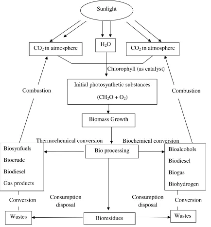 Figure 2.2 Carbon cycle, photosynthesis and biomass technologies 