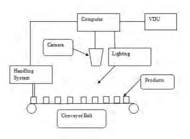 Figure 1.1: The AVI system. 